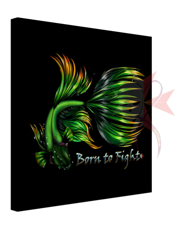 1bfa8675-46e9-41bc-95b6-7d095fddce18
