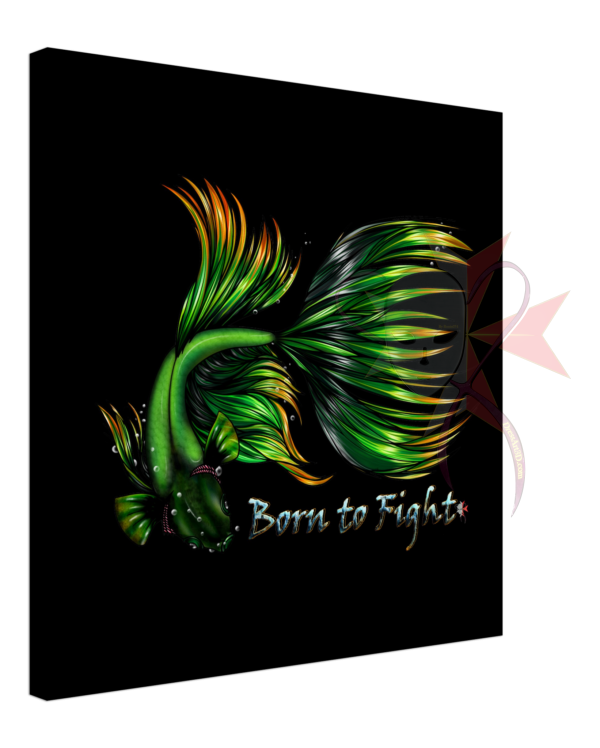 48c67155-5087-469e-be3f-d71fd602bd85
