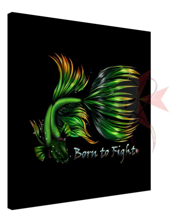 fee02cbf-b558-471f-9efa-948957b1cf51