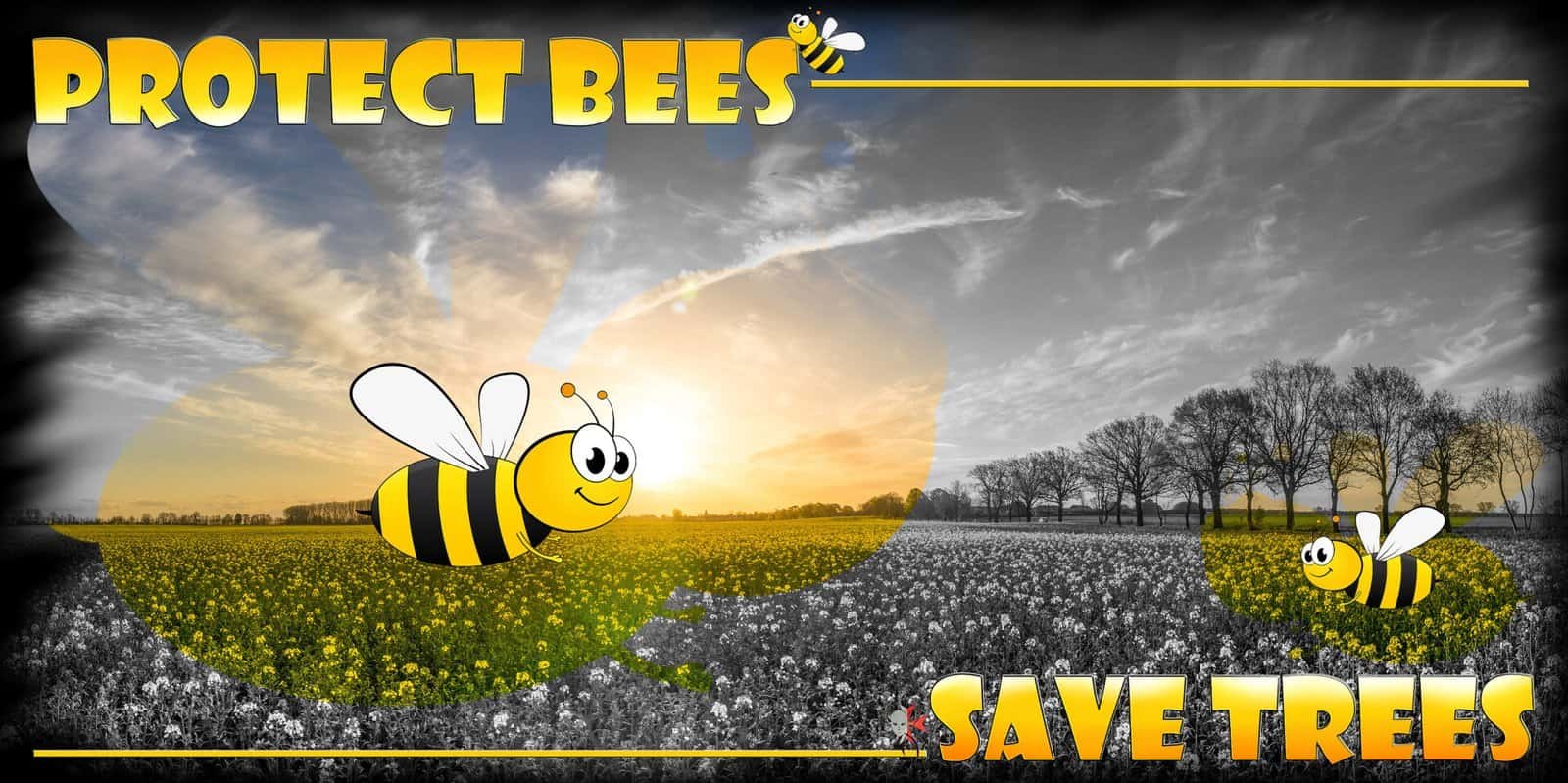 Design - Save the bees - print-on demand products