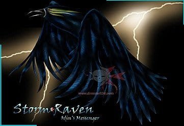 Design - Storm Raven  - print-on demand products